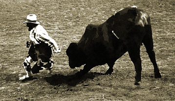 Bull chases clown