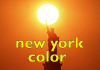 NY color link