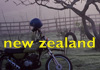 NZ link