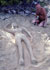 Sand nude link